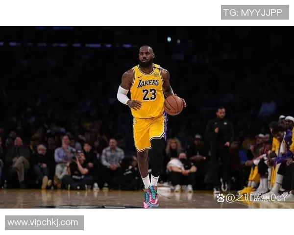 湖人对鹈鹕精彩比赛回放全程回顾与分析