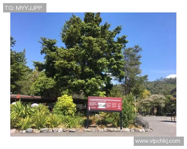 探秘巴尔塔的历史文化与自然风光之美