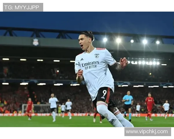 努涅斯在足球赛场上的崛起与挑战探讨