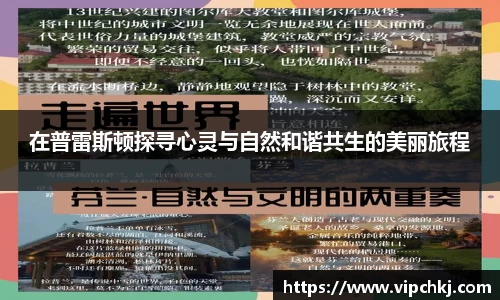 K8凯发APP