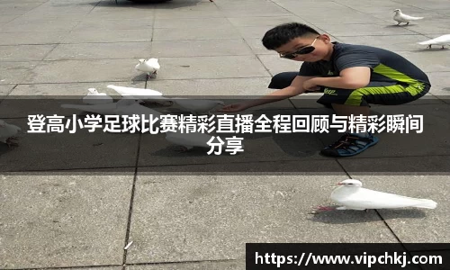 K8凯发官网