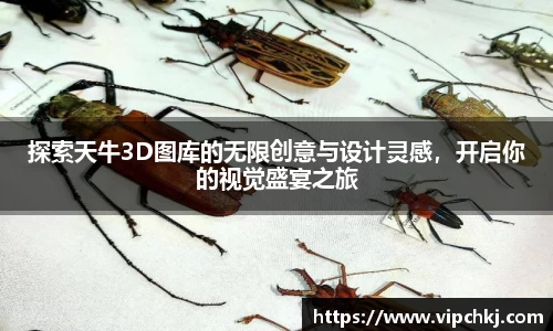 K8凯发官网